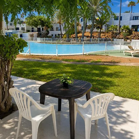 Barqueros Palm Corralejo